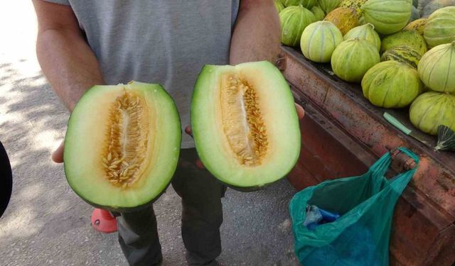 Çankırı tuzu bu kavunun tadına tat katıyor