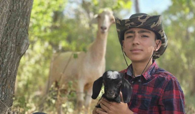 Çantasında taşıdığı oğlağı ile gönülleri ısıtmıştı, şimdi oğlağına isim arıyor