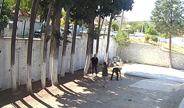 CHP’li Belediye Başkanı taş döşemek istemeyen zabıtaları sopayla dövdü