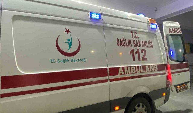 Domuz sanıp ateş etti, komşusunu vurdu