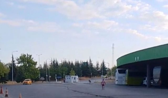 Edirne Otogarı’nda ilginç anlar: Eşek bu kez otobüs şoförünün yastığını çaldı