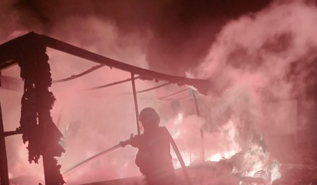 Erzurum’da artan yangınlar korkutuyor