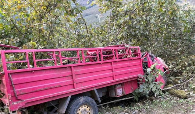 Giresun’da kamyonet fındık bahçesine yuvarlandı: 4 ölü, 1 yaralı