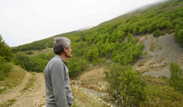 Gümüşhane’de emekli imam kendi imkânlarıyla köyüne 50 bin ağaç dikti