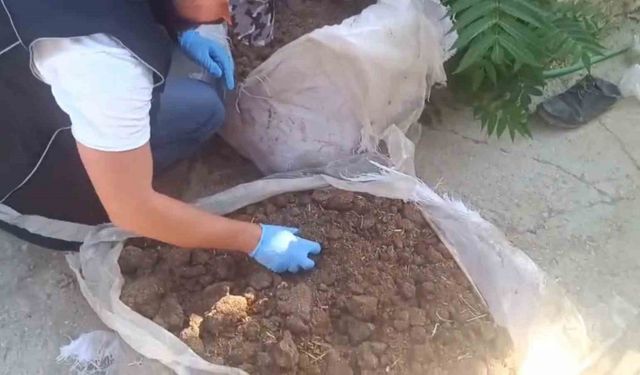 Konya’da zehir tacirlerine operasyon: 712 bin hap ve 65 kök kenevir ele geçirildi