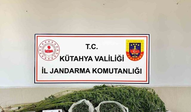 Kütahya’da uyuşturucu operasyonu