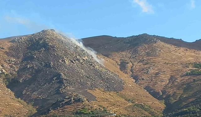 Marmara Adası’ndaki yangın kontrol altına alındı