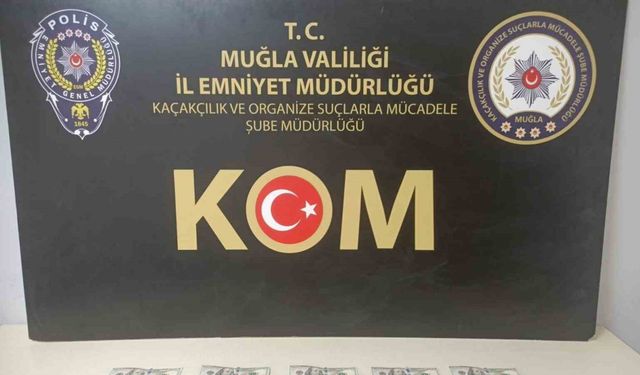 Muğla’da sahte dolar operasyonu