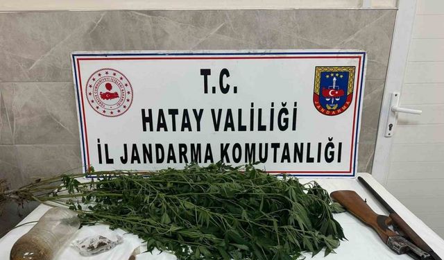 Payas’ta evinin bahçesinde hint keneviri yetiştiren şahıs yakayı ele verdi