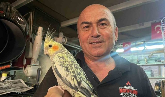 Soba ve mangal ustası Mustafa Göktürk’ün kuş sevgisi