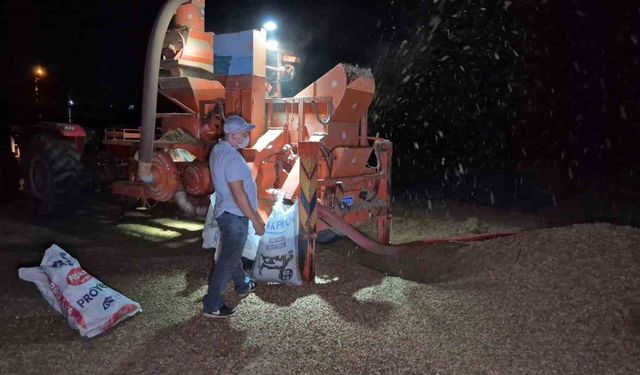 Tarlada fındık nöbeti