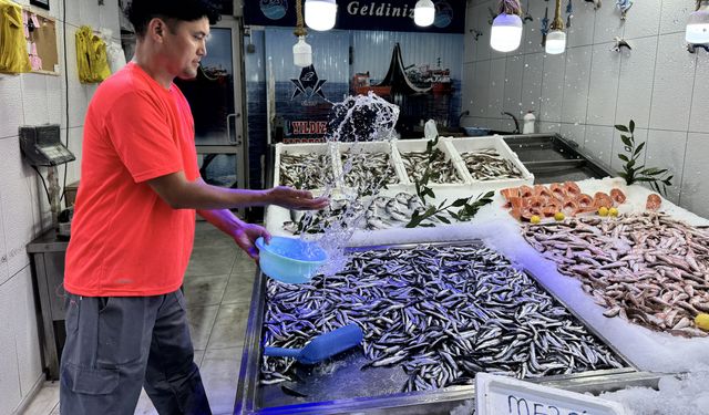 Ağlara erken takılan hamsi balıkçının yüzünü güldürdü