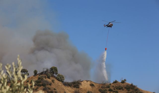 Aydın'da zeytinlik ve ormanlık alanda çıkan yangına müdahale ediliyor