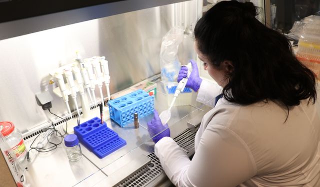 Bağırsak hastalıklarının tedavisi için Kütahya'da bor mineralli ürün geliştirildi