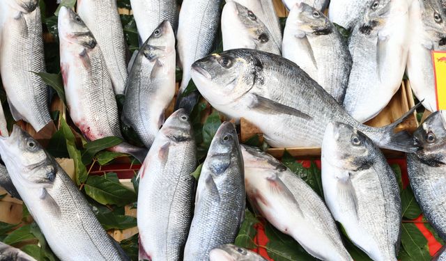 Balık sezonunun açılmasıyla tezgahlar doldu