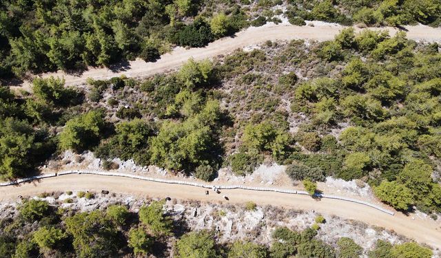 Bodrum'da baba oğul ata mesleği arıcılığı ürün çeşitlendirmesiyle sürdürüyor