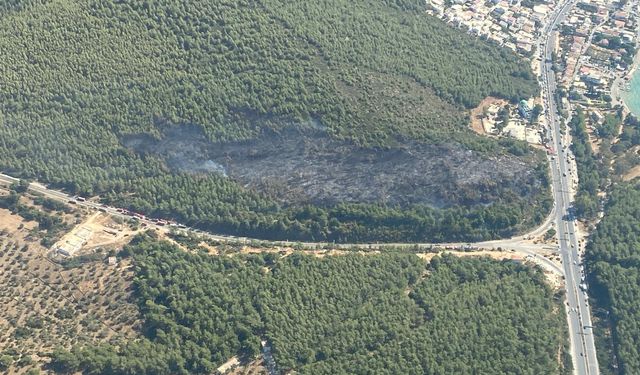 Bodrum'da çıkan orman yangını kontrol altına alındı