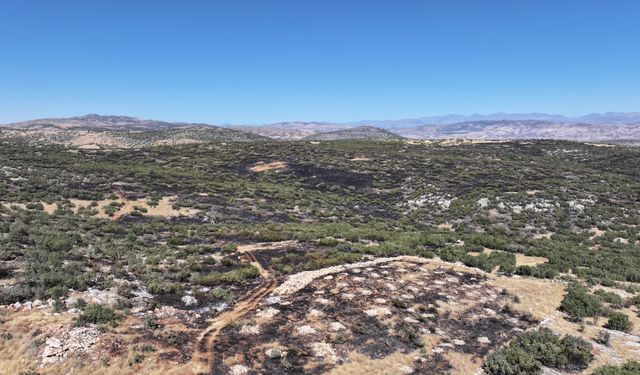 Diyarbakır'ın Silvan ilçesinde çıkan örtü yangını kontrol altına alındı