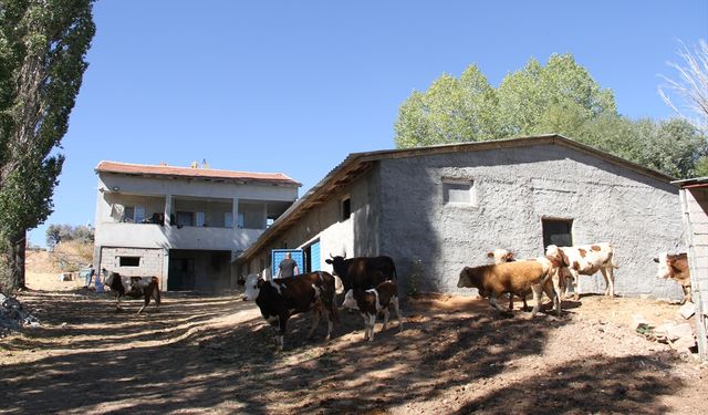 Eski hükümlü, devlet desteğiyle başladığı hayvancılığı 6 yıldır sürdürüyor