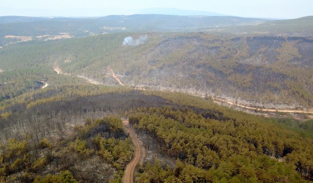 Karabük'te başlayan yangın Kastamonu'ya ulaştı
