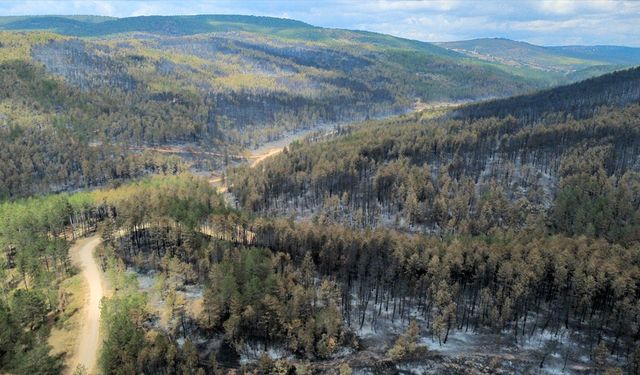 Karabük'te orman yangınlarında zarar gören alanlar havadan görüntülendi
