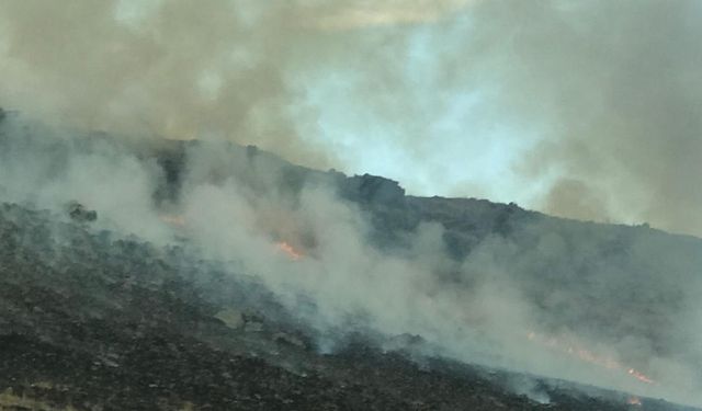 Kars'ta askeri tatbikat alanında çıkan anız yangını söndürüldü