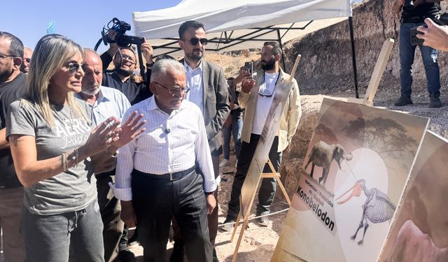 Kayseri'deki fosil kazılarında 7,7 milyon yıllık kılıç dişli kaplan fosili bulundu