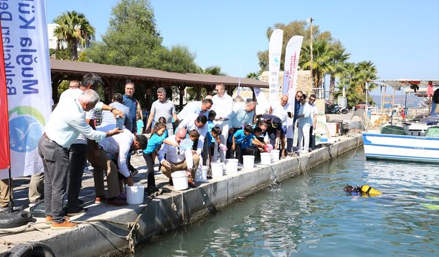 Muğla'da 160 bin balık yavrusu denize bırakıldı