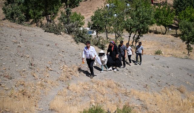 Şehir hayatını bırakarak 30 kovanla arıcılığa başlayan çift, siparişlere yetişemiyor