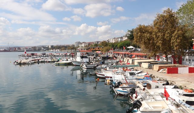 Tekirdağ'da denize açılan balıkçıların yüzü istavritle gülüyor