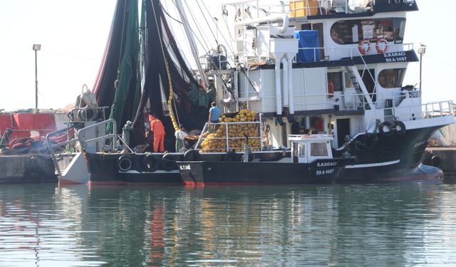 Tekirdağlı balıkçılar poyrazın etkisini yitirmesiyle yeniden denize açıldı