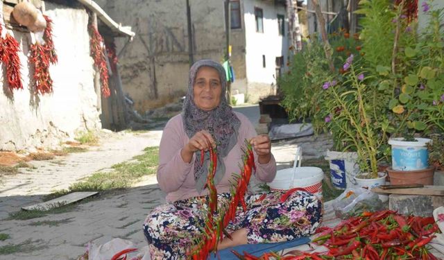 160 yıldır aynı tohumdan acı biber üretiyorlar