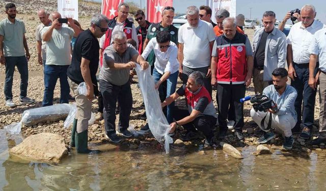 Adıyaman’da 1 milyonun üzerinde yavru sazan doğaya bırakıldı