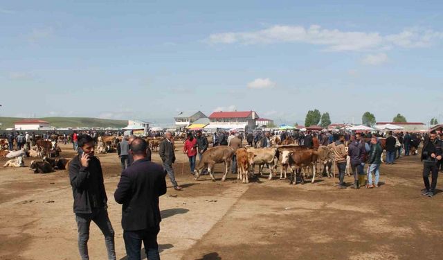 Ağrı’da Canlı Hayvan Borsası 10 Eylül’de açılacak