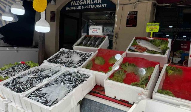Alaplı’da balık tezgâhları boş kaldı