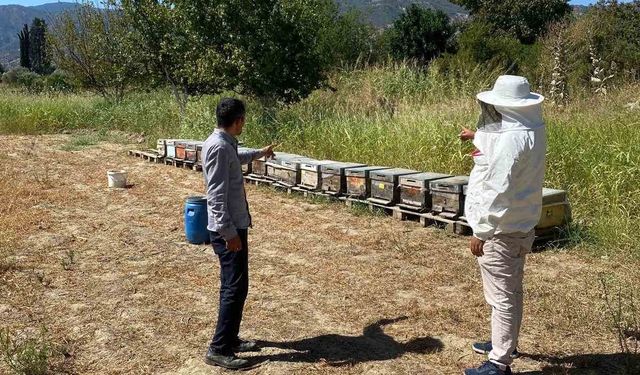 Arıcılık desteklemeleri için kovan sayımları tamamlandı