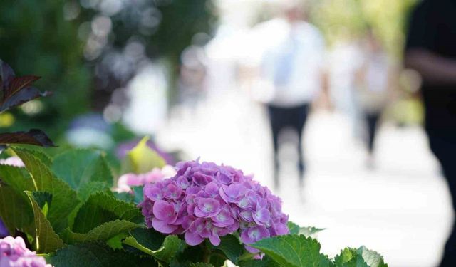 Bahçe sanatlarında uluslararası buluşma: Peyzaj dünyasının kalbi Sakarya’da atıyor