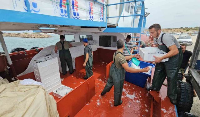 Balık fiyatları 1 ay sonra ucuzlayacak