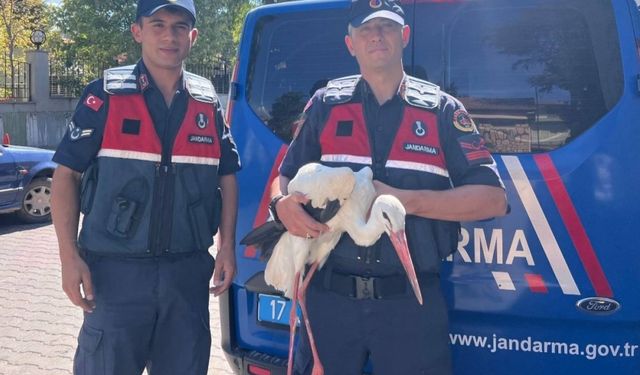 Bayramiç’te bulunan yaralı leylek tedavi altına alındı