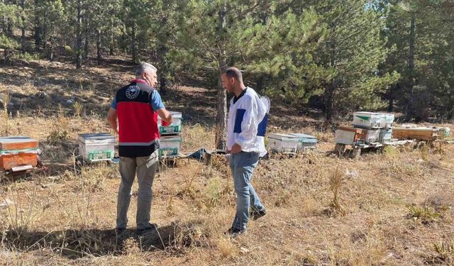 Beyşehir’de arılı kovan sayımları yapılıyor