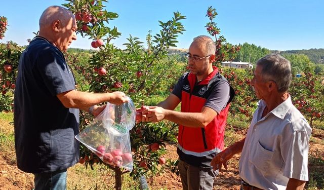 Beyşehir’de hasat öncesi pestisit denetimleri