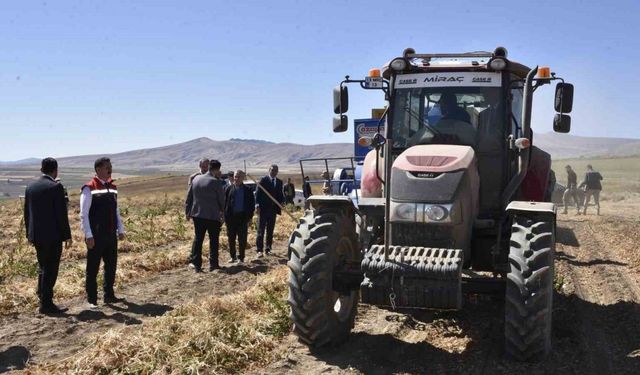Bitlis’te kuru fasulye hasadında rekor: 37 bin ton üretim