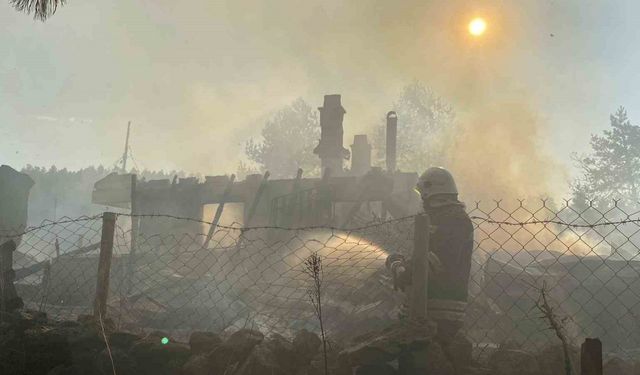 Bolu’da 12 yapıyı kül eden yangın kundaklama çıktı: Şüpheliler itiraf etti