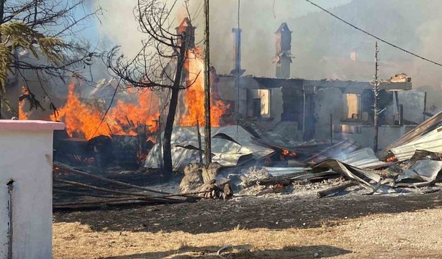 Bolu’da yaylada 12 yapı küle döndü: Kundaklama şüphesi