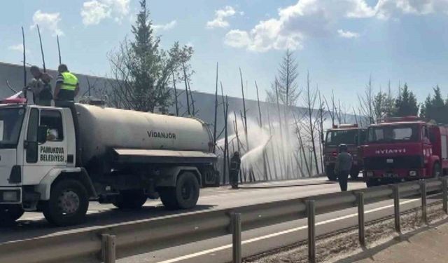 D-650’de korkutan yangın: Ağaçlar alev topuna döndü, trafik durduruldu