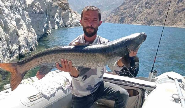 Elazığ’da amatör balıkçı, 11 kiloluk dev şabut yakaladı
