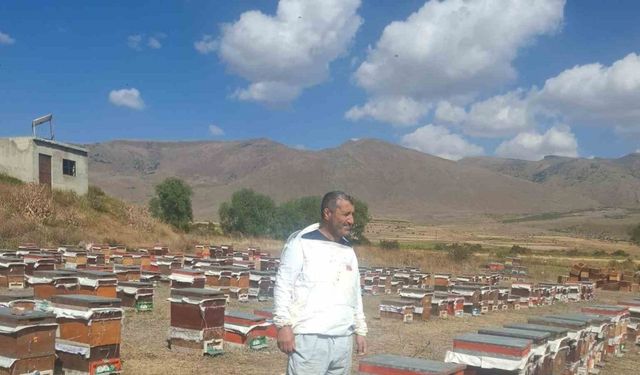 Erzurum’un Çat ilçesinde arıcıların ayı nöbeti
