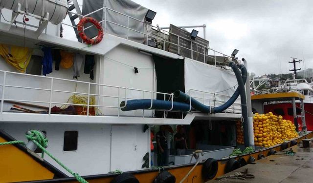 Hamsi avı denize için açıldılar, 300 kg patlayıcı ile dolu insansız deniz aracı ile döndüler