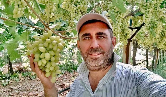 Kaliteli üzüm üretimiyle Sarıgöl’de örnek bağ