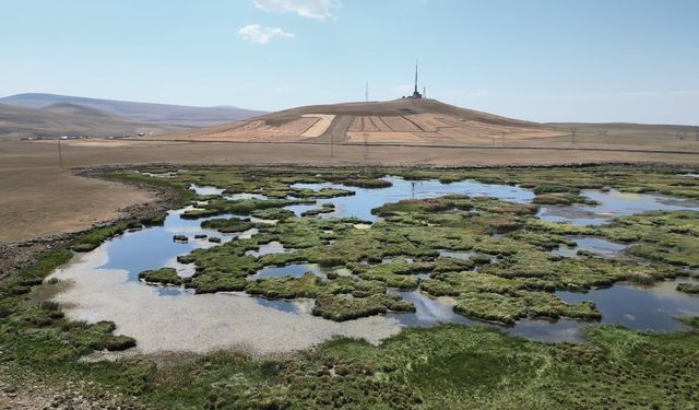Kars’ta kuraklığın vurduğu Çalı Gölü’nü kuşlar terk etti